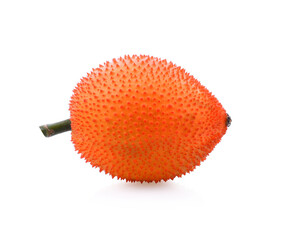 Closeup Gac fruit ( known as Spring Bitter Cucumber, baby jackfruit, sweet grourd, Spiny bitter gourd ,Momordica cochinchinensis ) isolated on white background. Tropical healthy medicine plant concept