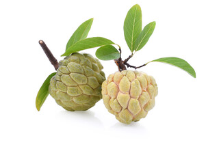 Custard apple and green leaf fresh. Thai annona or cherimoya fruit healthy. Food tropical fruit when cooked, the flesh is white, sweet and fragrant. Isolated on white background.