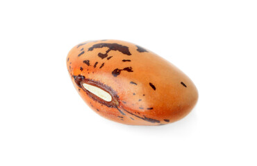 Raw bean on white background. Vegetable planting