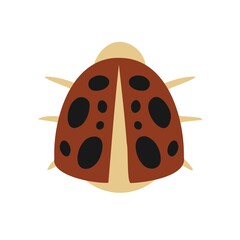 Isolated vector design colorful illustration of decorative abstract lady bug
