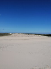 Fototapeta na wymiar Råbjerg Mile sand dunes and desert in Northern Jutland outside Skagen, Denmark