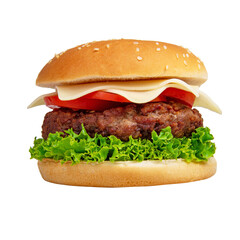 One tasty burger with cheese isolated on the white background