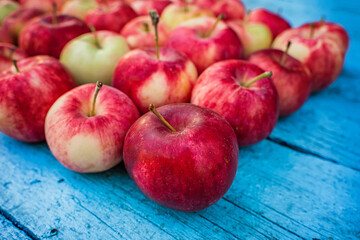 Apples are laid out in rows, the harvest is from the garden, natural background