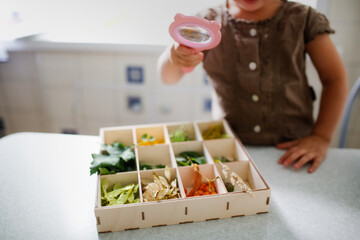 Cute child toddler exploring plants with a magnifying glass, natural science in preschoolers, collecting natural materials and cognitive interest