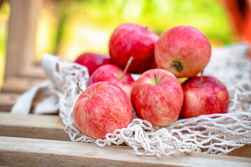 Apples are laid out in rows, the harvest is from the garden, natural background