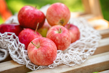 Delicious apples from the garden, still life apples on a rural grid