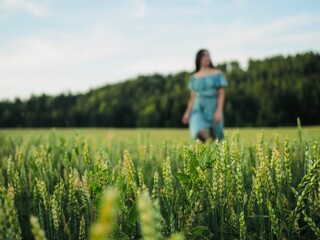 Blurred image girl in summer dress walking barefoot on wheat field. Wheat ears close-up. Nature beauty, blue sky, field wheat. Freedom, Sustainable lifestyle, Wellness