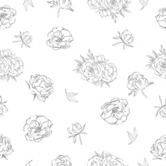 Elegant outline sketching of peony's flowers, vector illustration, seamless pattern