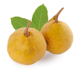 Santol fruit isolated on white background