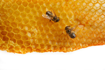 National honey bee day. Frame with Bees crawl on honeycomb.