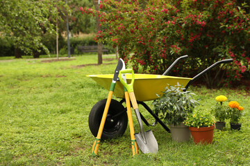 Wheelbarrow and other gardening tools in park on sunny day