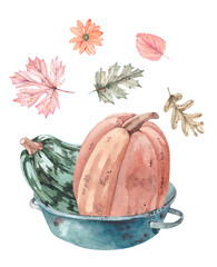 Composition with watercolor pumpkins and autumn flowers. Autumn watercolor illustrations with fading leaves and flowers, autumn elements for design.Autumn pumpkin painted in watercolor.