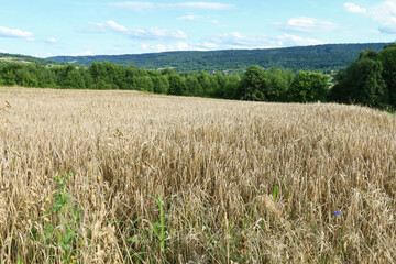 Rural landscape of southern Poland.