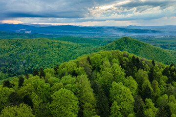 Fototapeta na wymiar Aerial view of dark mountain hills covered with green mixed pine and lush forest in evening.