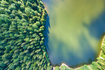 Top down aerial view of big lake with clear blue water between high mountain hills covered with dense evergreen forest.