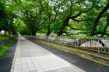 Nagoya Castle Japanese Garden Aichi Japan Art Wall painting 名古屋城 日本 壁画 日本庭園...