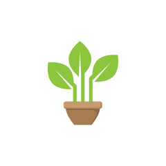 Plant pot icon design illustration template