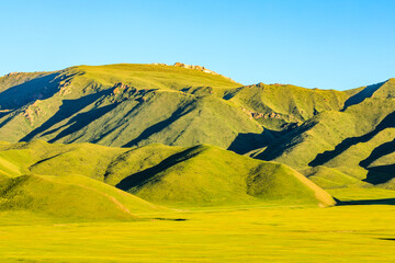 Green meadow in mountain.Composition of nature.Green grassland in Xinjiang.