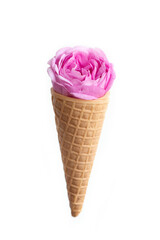 Ice cream waffle cone with pink fresh tea rose flower, isolated on white background. Diet and thinking outside the box design concept