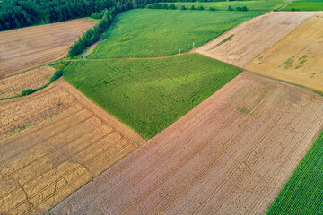 Aerial view of agricultural and green fields in countryside. Nature landscape in summer day, panorama