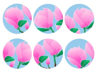 Vector template for highlighting social media covers. Stories. Vector illustration with pink flowers and magnolia buds on a blue background. Round badges. 