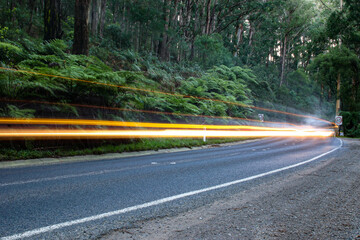 Car lights streaking past on a quiet country road in the Australian rainforest