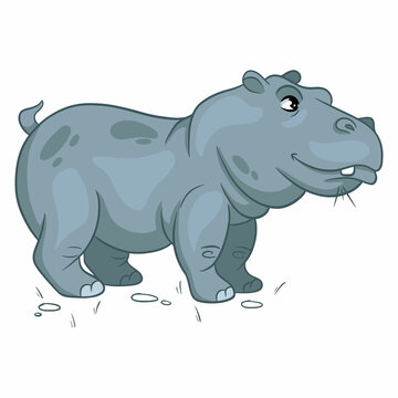 Animal character funny hippo in cartoon style.