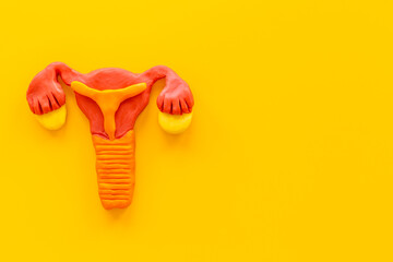 Female uterus and ovaries with fallopian tubes - - health reproductive system