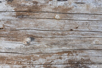 texture of old wooden boards. Beautiful background. abstract