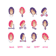 Set of hedgehogs on rollers, skateboard, bicycle, scooter, mono wheel and with skipping rope. Vector color illustration in flat style with words. © Nataliia