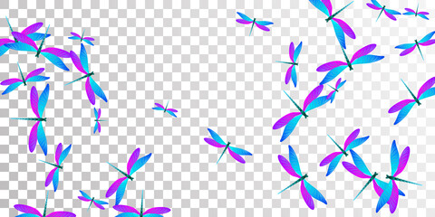 Exotic blue purple dragonfly flat vector background. Summer cute damselflies. Wild dragonfly flat baby wallpaper. Sensitive wings insects graphic design. Fragile beings