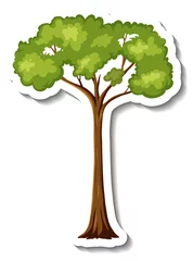 Sticker rainforest tree on white background © blueringmedia