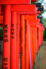根津神社の千本鳥居	