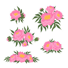 Set of flower compositions. Pink peonies with green leaves. Vector romantic garden illustration. Botanical collection for wedding invitation, patterns, wallpapers, fabric, wrapping