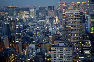 夕暮れどきの東京の眺め