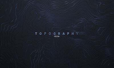 Silver or steel topography pattern. Vector illustration of heights map topographic backdrop