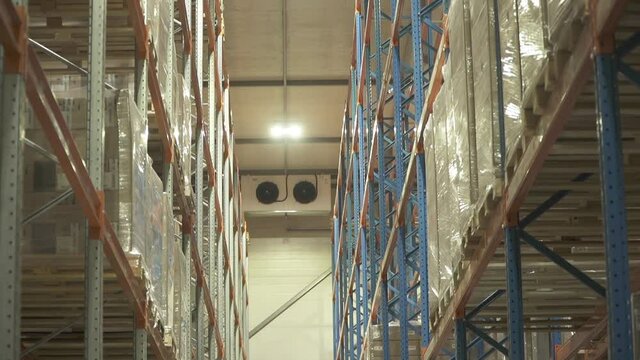 Warehouse and shelves for storing vaccine
