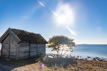 The island Öland, Kalmar Län Sweden © Migge GP