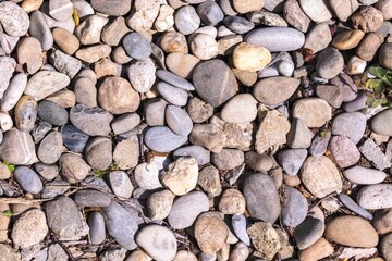 A texture portrait of pea gravel, which are small rocks of different shapes, colors and sizes to cover parts of your garden for steady footing and less weeds or in a spa to become completely zen.