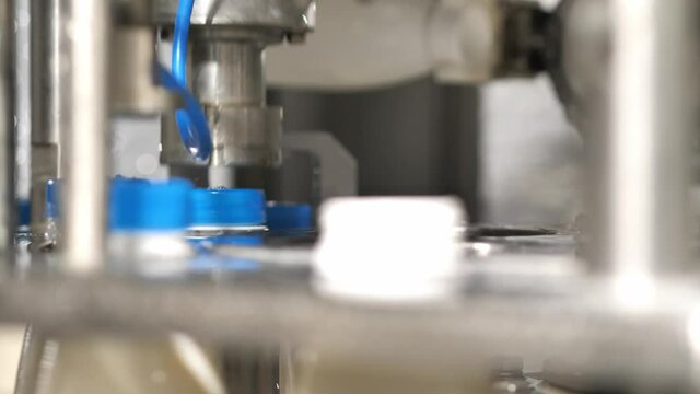 Close up Installation and capping of blue plastic lids on plastic bottles filled with dairy products on a conveyor machine.
