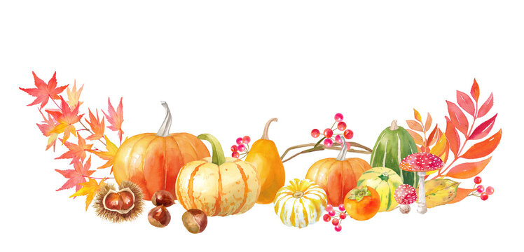 25 514 Best カボチャ Images Stock Photos Vectors Adobe Stock