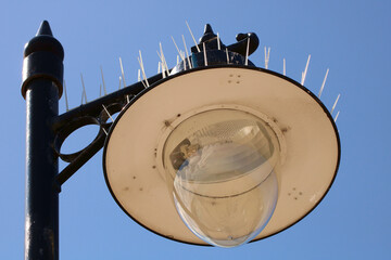 Old fashioned street light fitted with generic bird repelling spike technology.