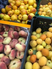 fruits and vegetables