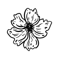 Flower head. Hand drawn vector illustration. Monochrome black and white ink sketch. Line art. Isolated on white background. Coloring page.