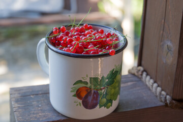 red currants in a mug