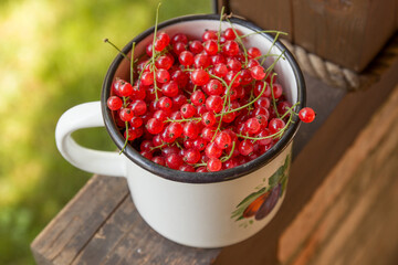 red currants in a mug