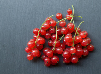 red currants on a blackboard