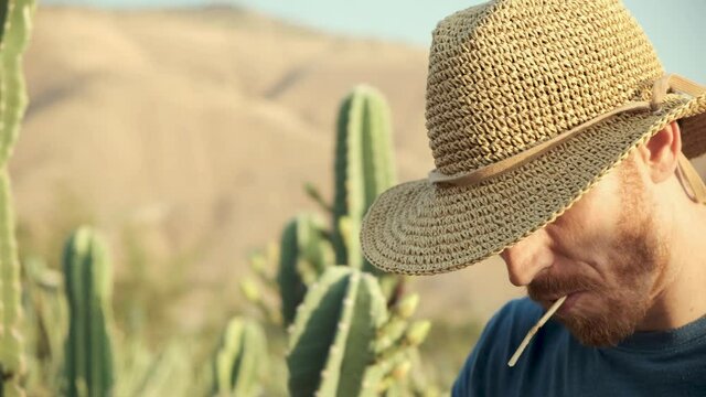 Tough cowboy wearing straw hat standing in a cactus desert field chewing straw in the wild wild west. Cowboy. cacti forest Desert Golan heights Israel. Kubo. lonely wolf guy outcast. playing it cool. 