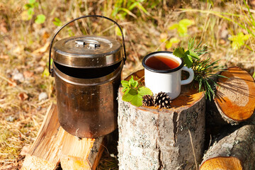 White campfire enamel mug with hot herbal tea on wooden stump. Bowler pot on background, cones, forest elements as decor. Concept of lunch break during hiking, trekking, active tourism, campring