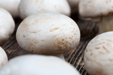 unwashed mushrooms champignon during cooking